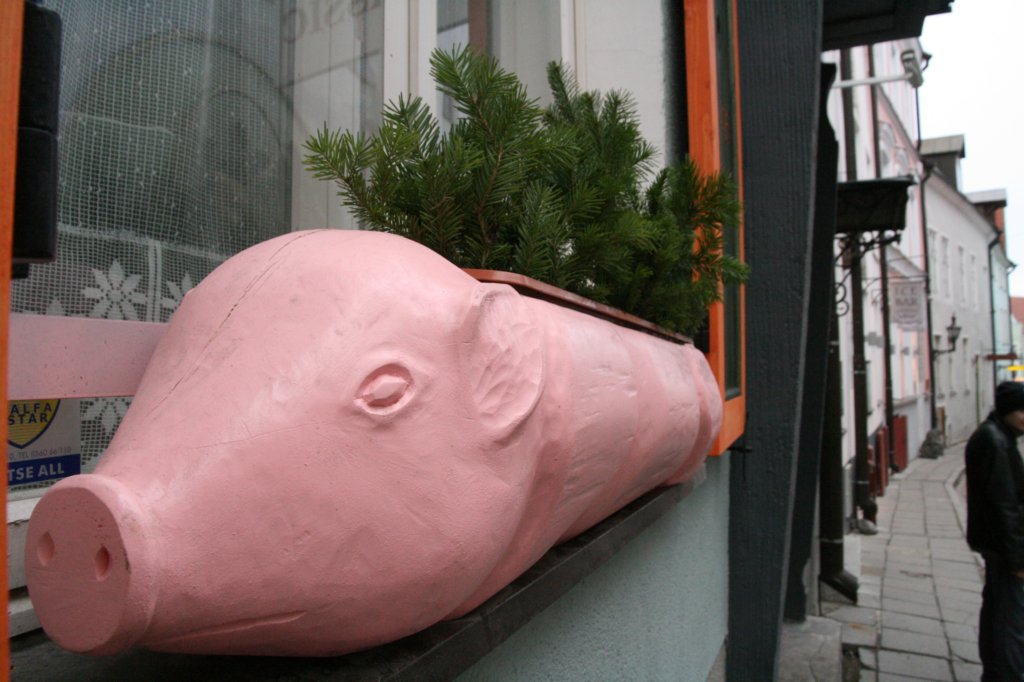 photo29.jpg