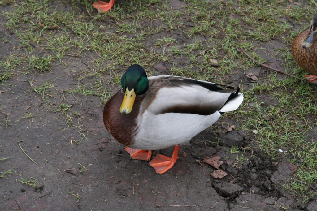 photo40.jpg