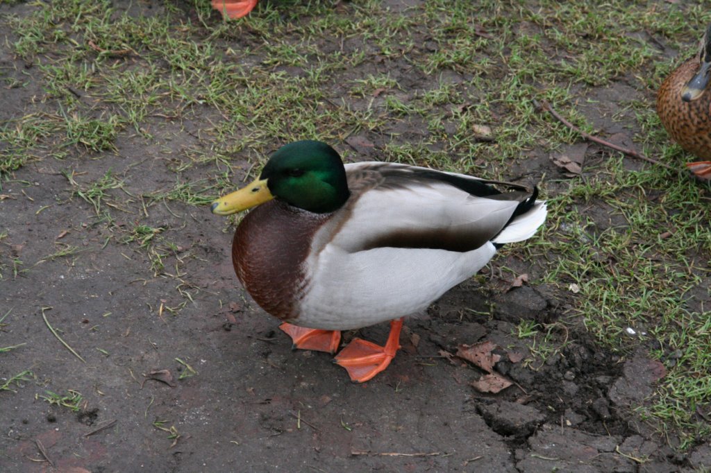 photo41.jpg