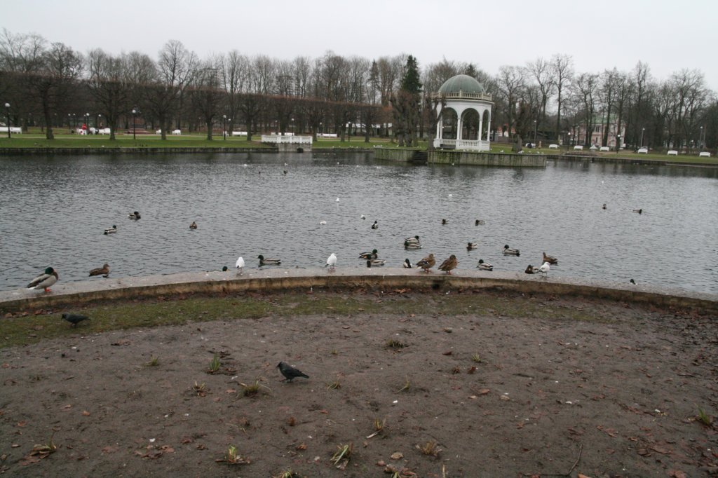 photo44.jpg