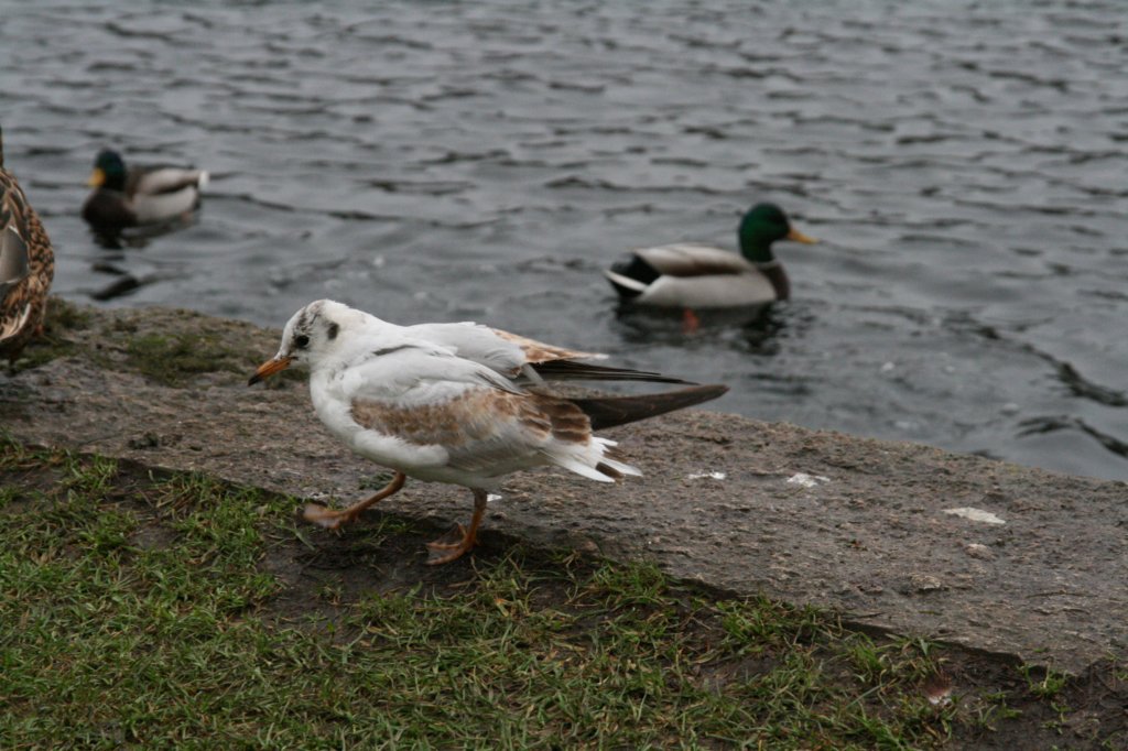 photo49.jpg