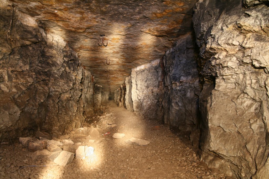 photo11.jpg
