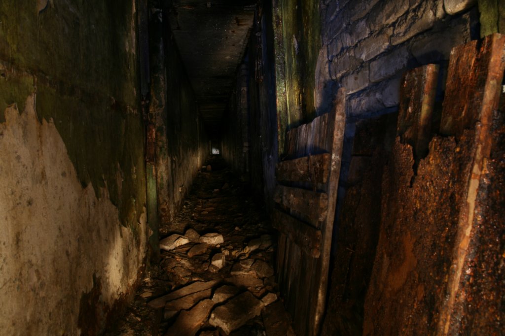 photo5.jpg