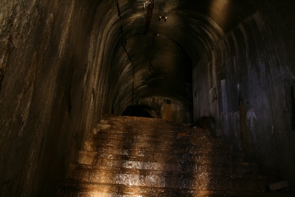 photo7.jpg