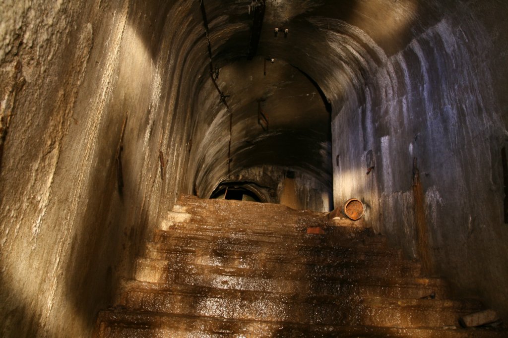 photo8.jpg