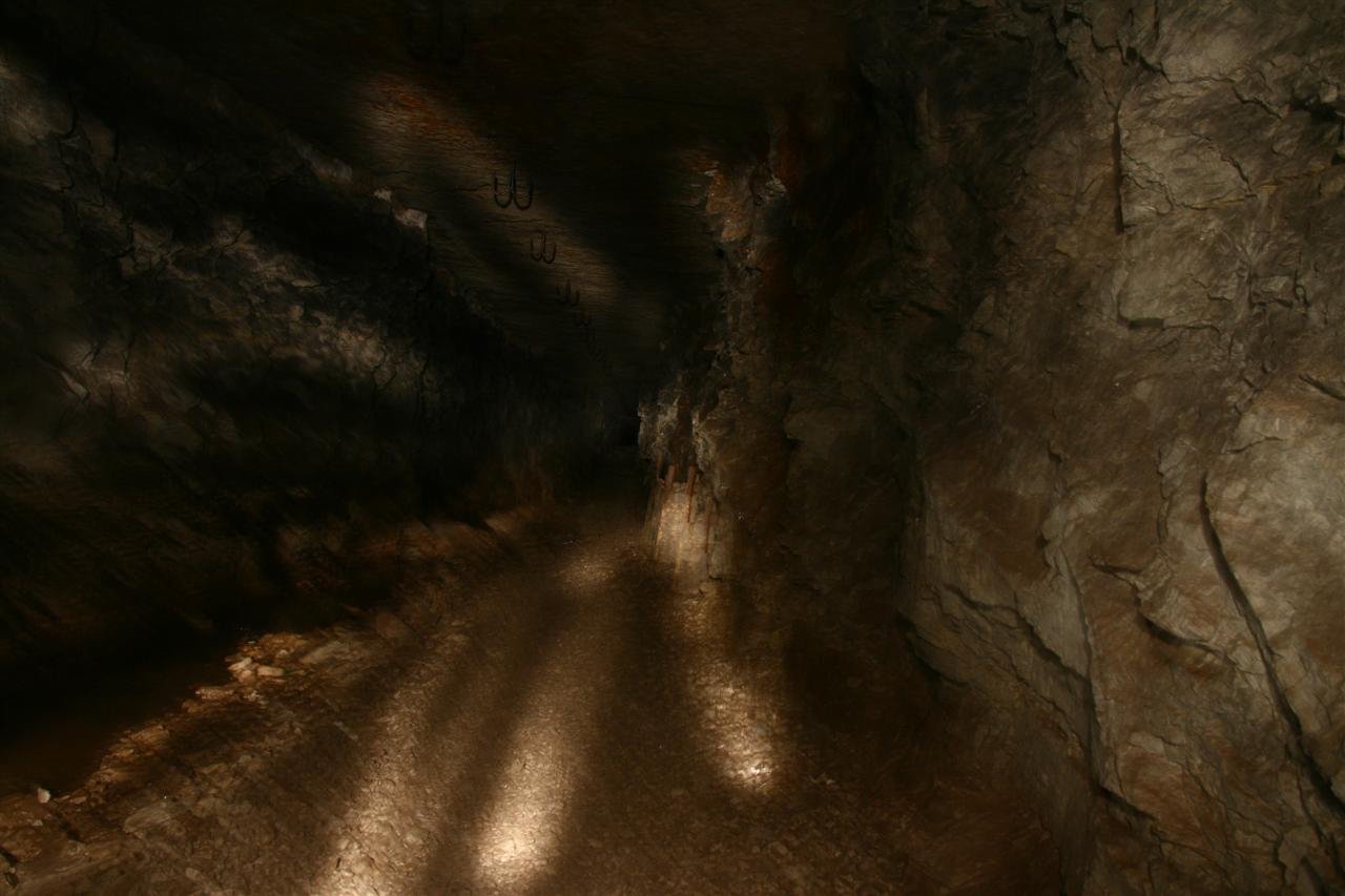 photo1.jpg