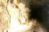 photo15_small.jpg