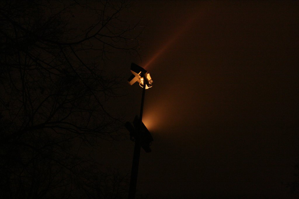 photo74.jpg