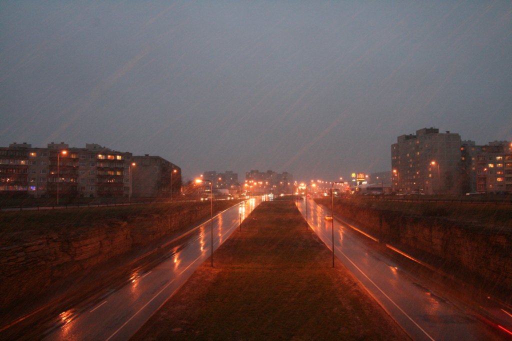 photo4.jpg