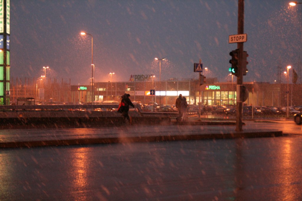 photo7.jpg
