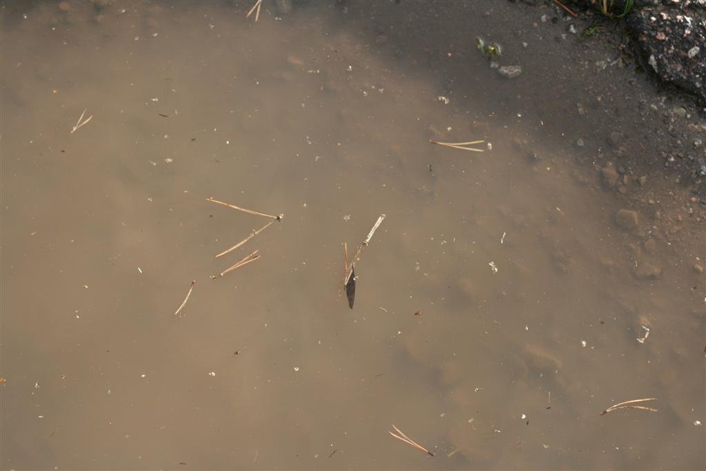 photo20.jpg
