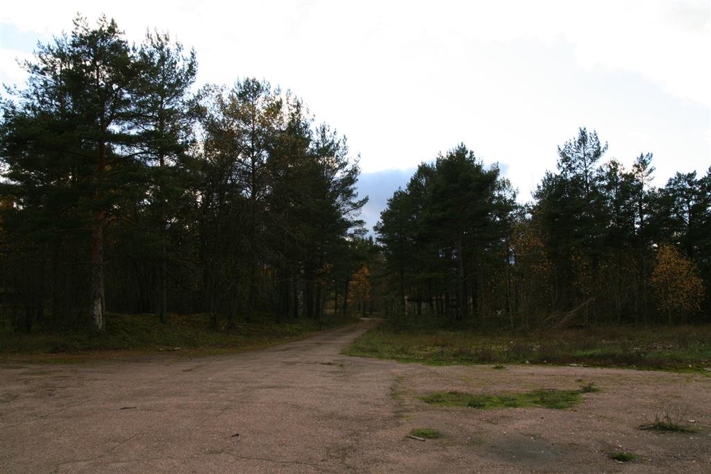 photo30.jpg