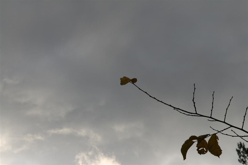 photo32.jpg