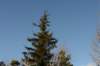 photo40_small.jpg