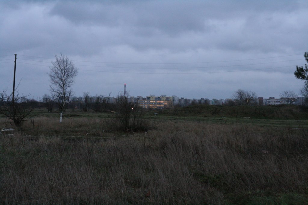 photo11.jpg