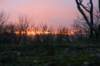 photo22_small.jpg