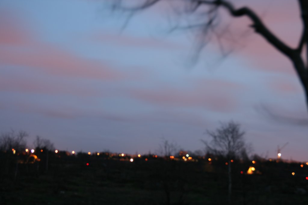 photo24.jpg