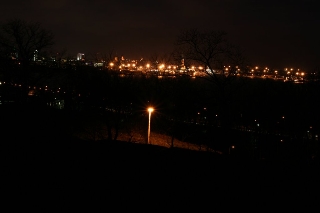 photo31.jpg