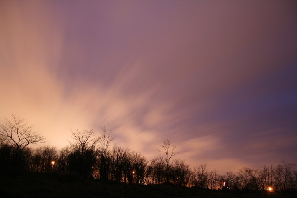 photo35.jpg