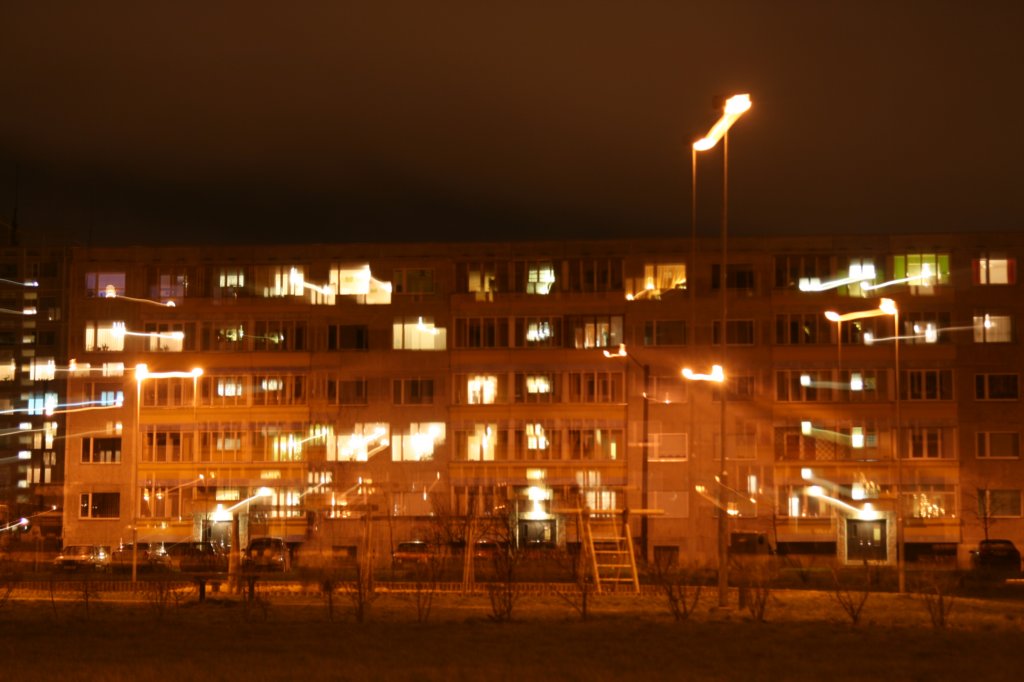 photo48.jpg