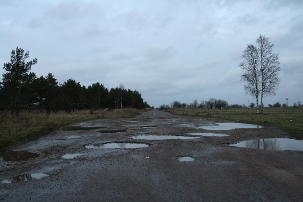 photo5.jpg