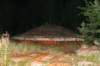 photo29_small.jpg