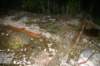 photo35_small.jpg