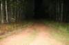 photo41_small.jpg