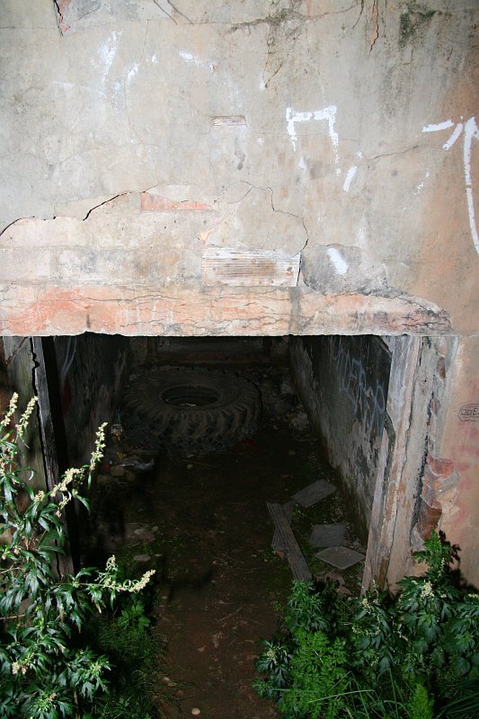 photo42.jpg