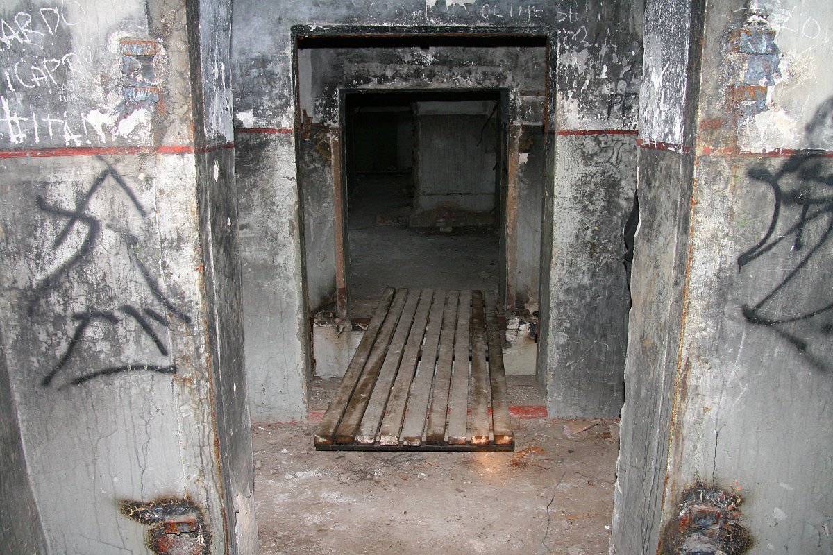 photo44.jpg