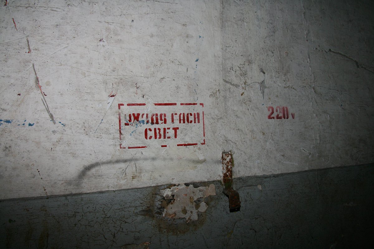 photo81.jpg