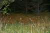 photo49_small.jpg