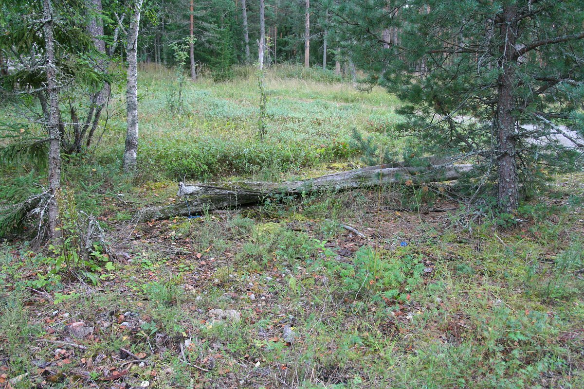 photo5.jpg