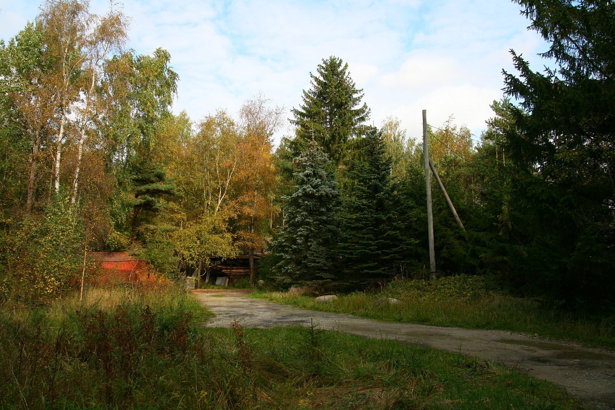 photo14.jpg