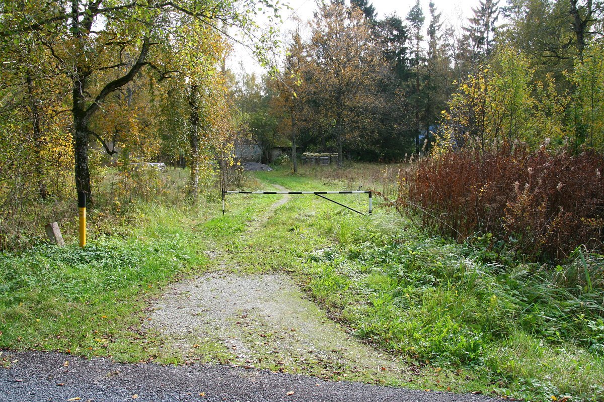 photo15.jpg