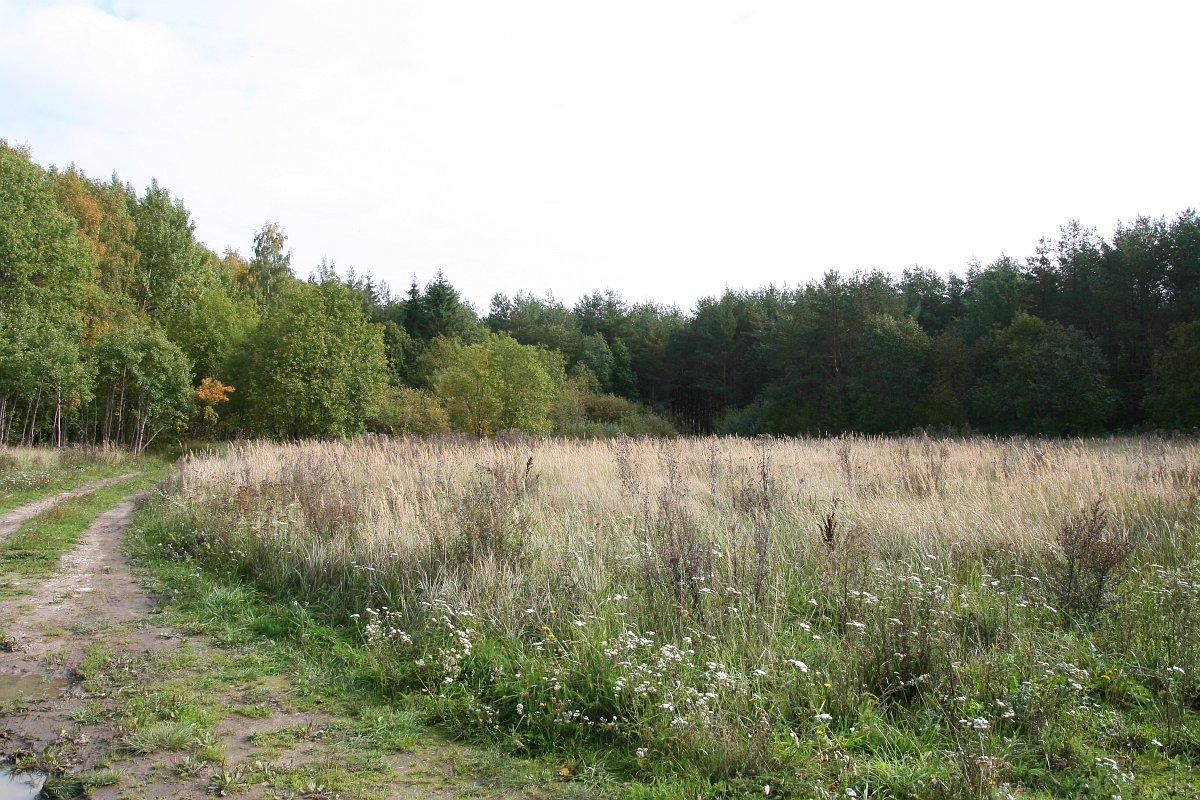 photo6.jpg