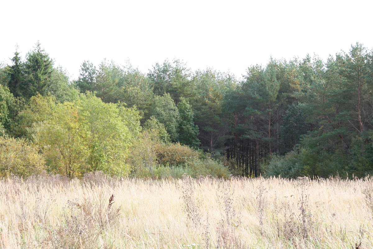 photo7.jpg