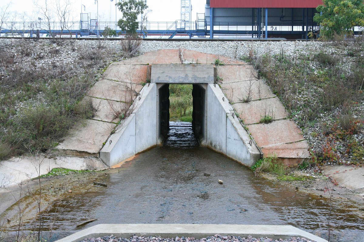 photo10.jpg