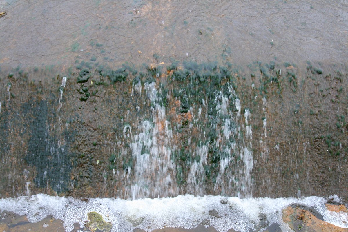 photo11.jpg