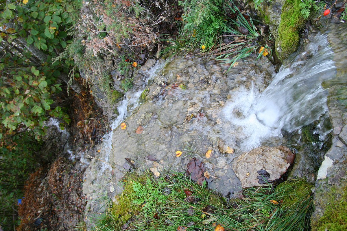 photo121.jpg