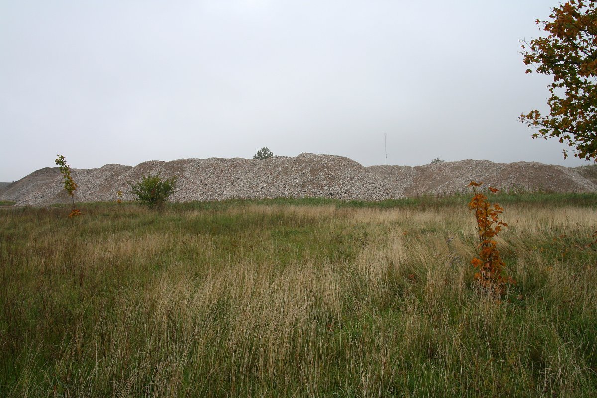 photo20.jpg
