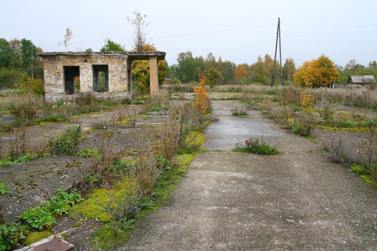 photo30.jpg