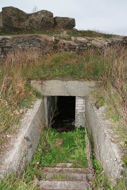 photo54.jpg