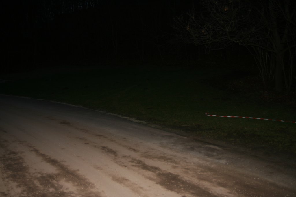 photo11.jpg