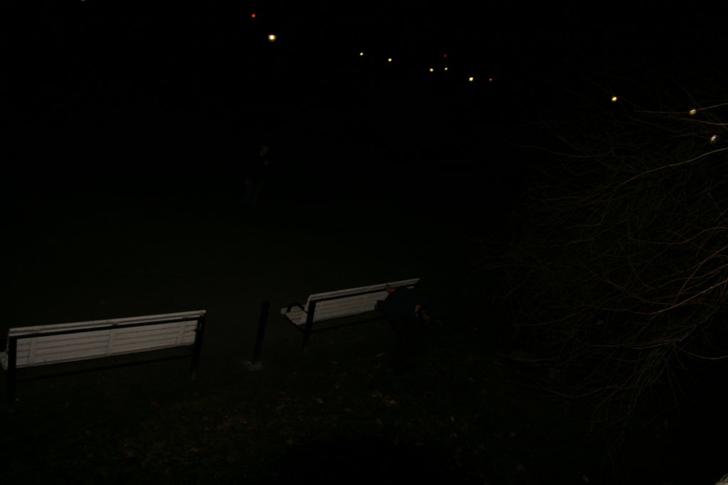 photo217.jpg