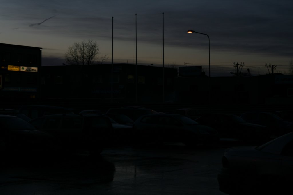 photo19.jpg