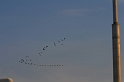 IMG_1768_Resize2