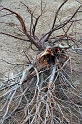 IMG_2014_Resize