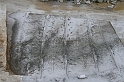 IMG_2039_Resize