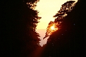 IMG_2523_Resize